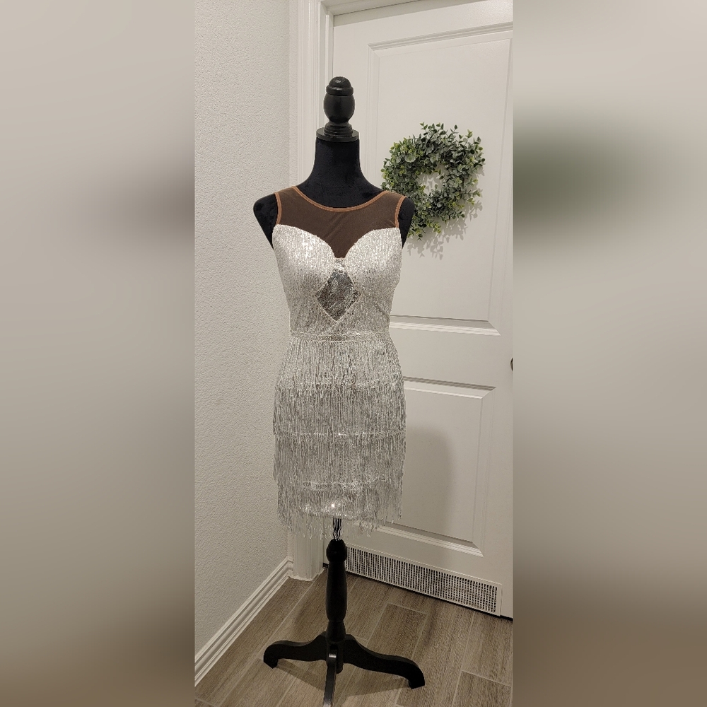 Silver sequin fridge dress